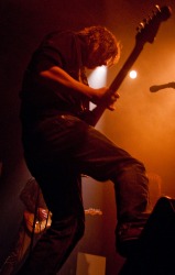 Narrow Terence