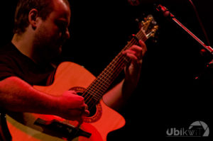 Andy McKee Lille 2011