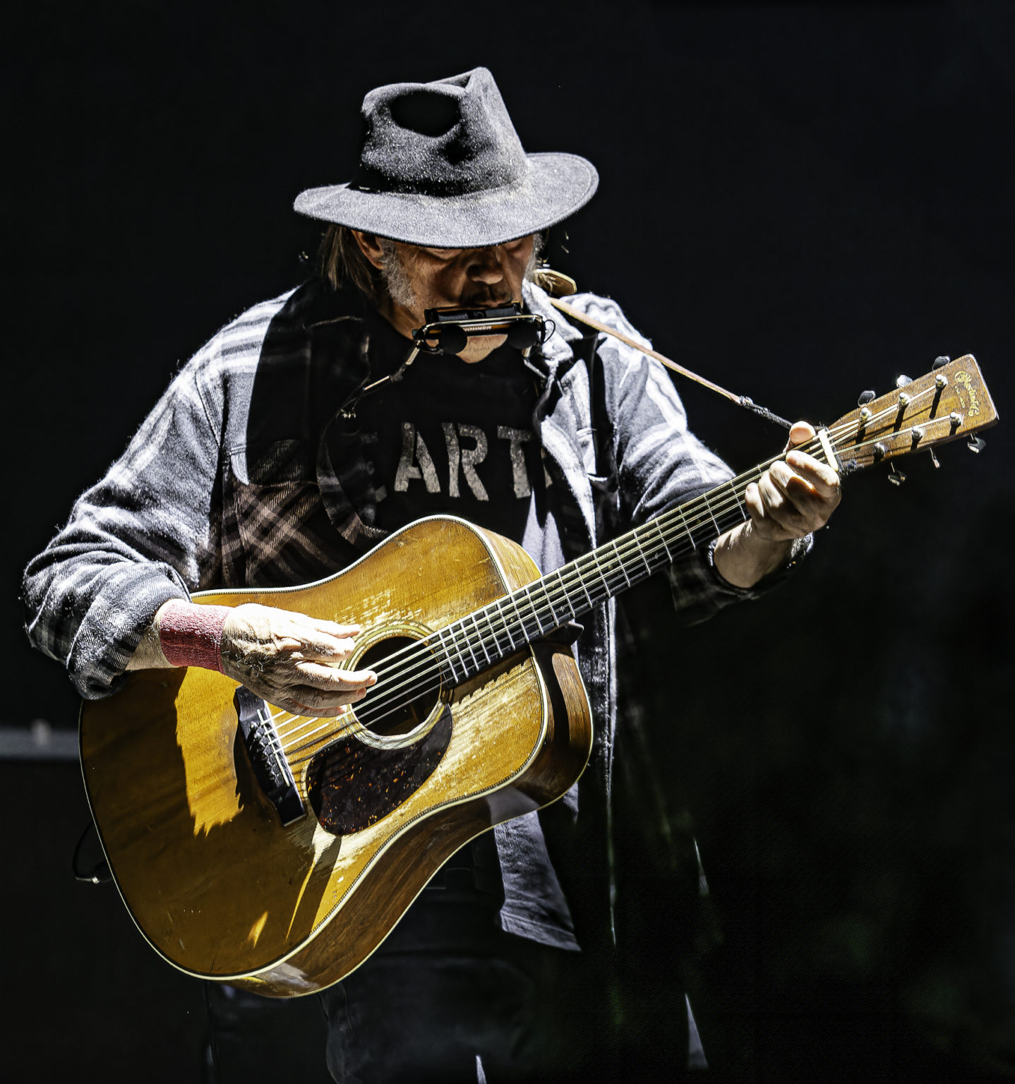 Neil Young Lille