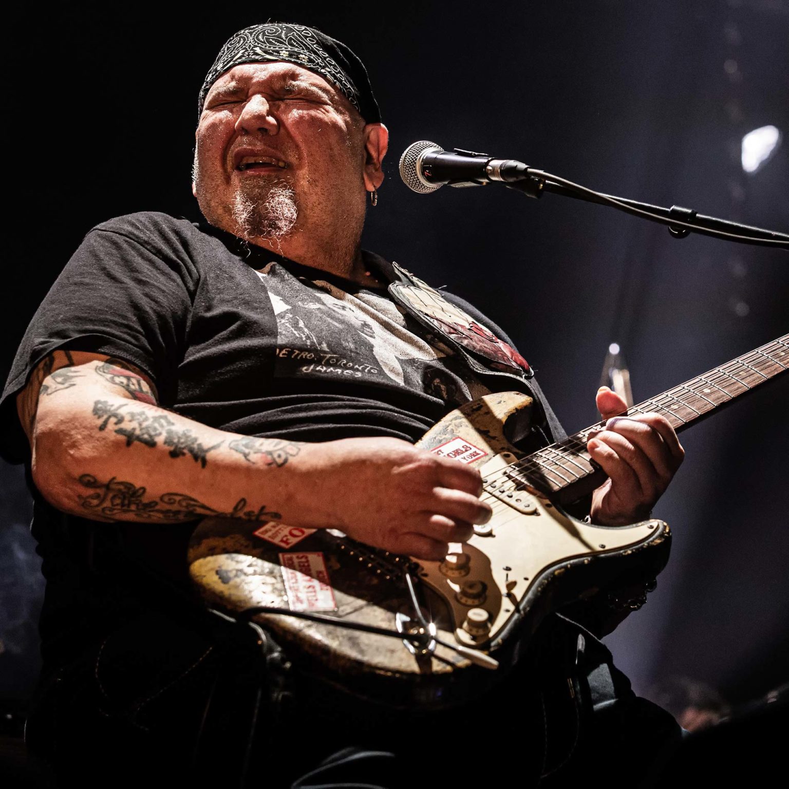 Popa Chubby Lille 2020