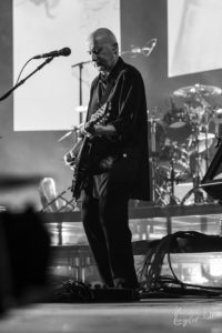 David Rhode a la guitare électrique en noir et blanc