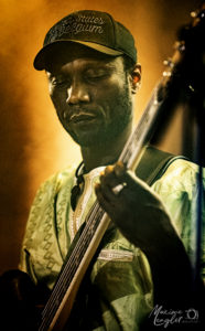 Modibo Mariko, bassiste du sextet de Vieux Farka Touré