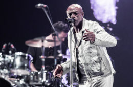 Seal Lille