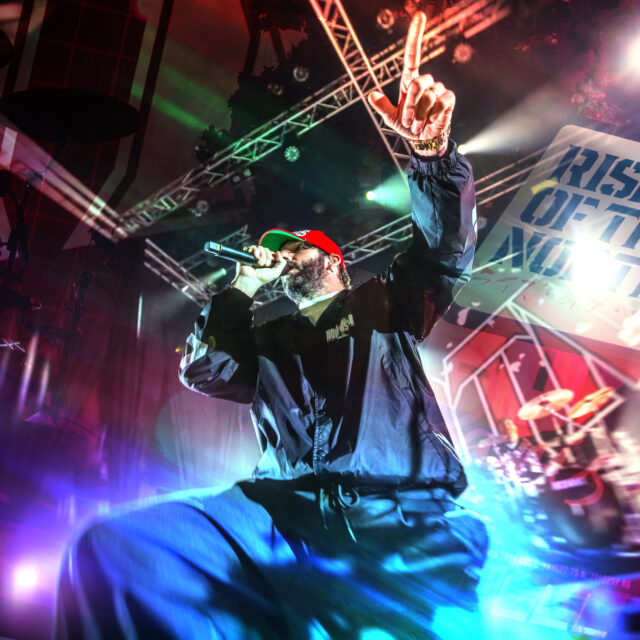 Rose Of The Northstar Lille