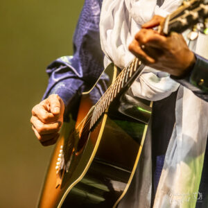 Bombino