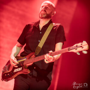 Bob Hardy à la basse pour Franz Ferdinand à Lille